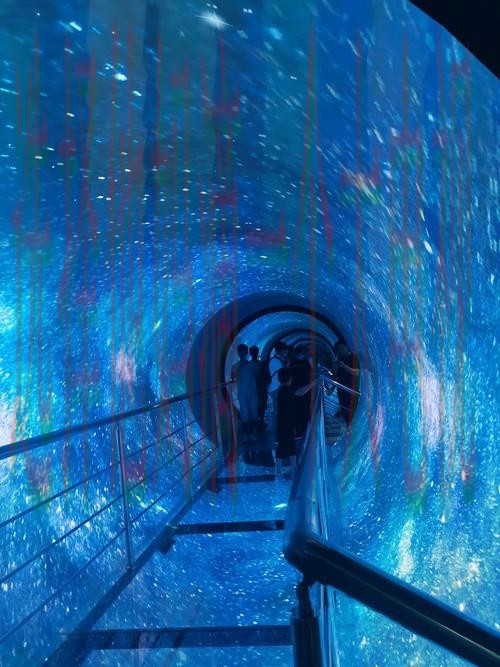 星空探秘最佳玩法地点推荐